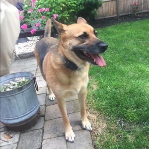 Meet your Posher, Shauna